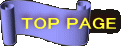 TOP PAGE